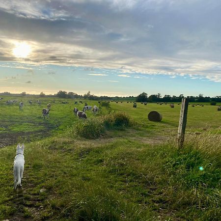Chambre De Jeanne - Le Refuge Des Parachutistes - En Bordure Du Marais Neuville-au-Plain Экстерьер фото
